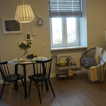Unique Valdemara Street Studio * 리가